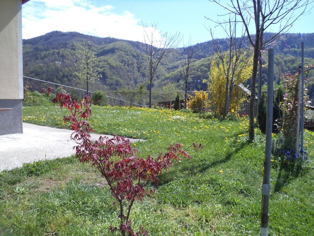 Apartments Petrin Tolmin Eksteriør bilde